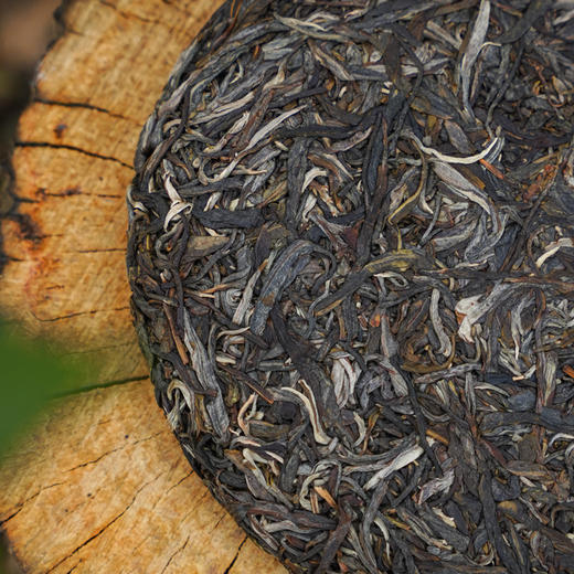 【上高货】【源自张福茂老爷子初代遗迹手稿】【汇聚普洱贡茶精髓】行业标杆级藏品；红印2025年普洱茶区贡茶核心资源大几百年大古树单株选料；357g/饼【绝密配方】【复兴贡茶之辉煌】 商品图2