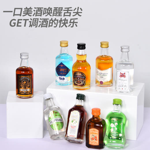菲利佰加·白兰地威士忌伏特加网红洋酒小酒版18支组合套装 商品图2
