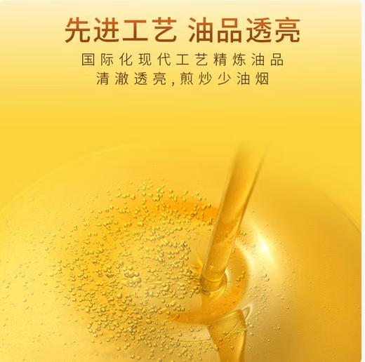 【SF】福临门非转基因一级大豆油 10L/桶 商品图2