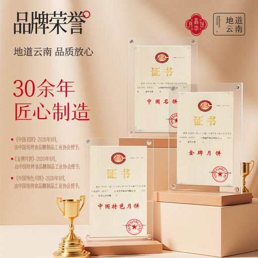 嘉华月饼 滇式中秋大团圆月饼  云南特产零食  传统糕点心 商品图8