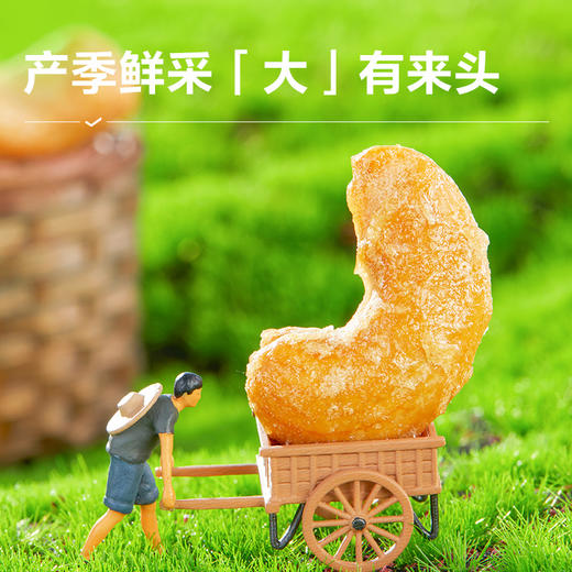 【限时一口价11.9元】炭烧腰果120g 商品图6