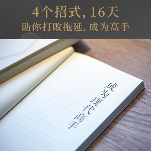 山洞四律(王潇2025年新作，写给拖延患者的能量之书。4个招式，16天，助你打败拖延，成为高手) 商品图2