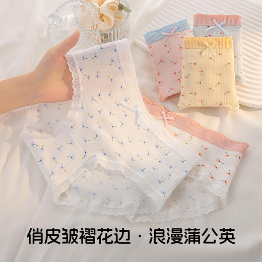 【5条装】10A抑菌甜美蕾丝少女内裤女纯棉透气高弹不勒不夹臀N5612蒲公英印花内裤 商品图1