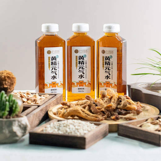 武当凤源春 黄精元气水植物饮料 500ml/瓶 商品图4