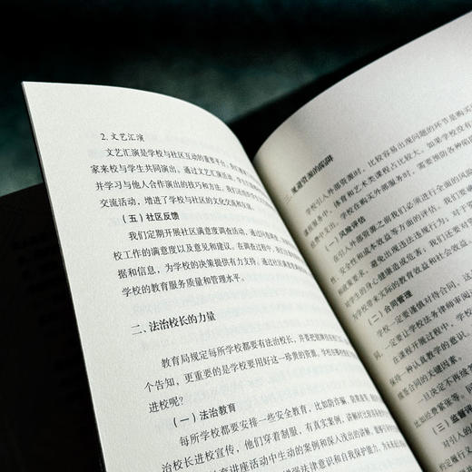 从0到1 新校长如何破茧成蝶 仇虹豪 新手校长100个问题答案之书 学校规划 教师干部管理 商品图13