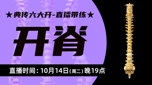 【10月14日 】典传六大开直播带练（开脊） 商品图0