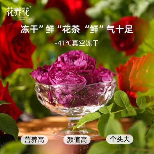 【肝胆相照商城专享】花养花玫瑰小镇冻干玫瑰鲜花茶8g*2盒（赠手提袋） 商品图2