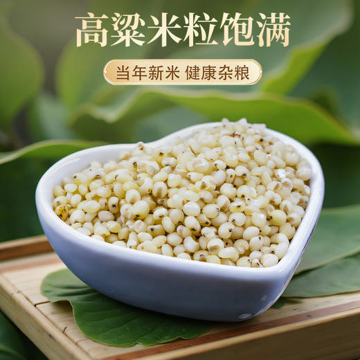【食品】五谷杂粮高粱米养生粗粮白高粱500克 商品图3