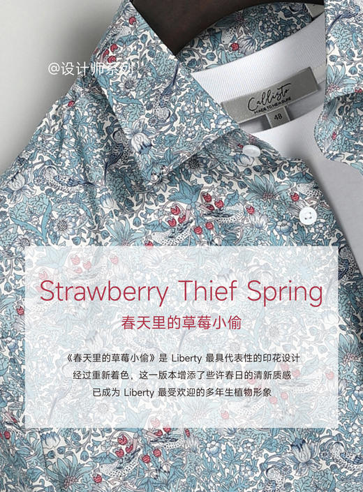 callisto定制花衬衫-春天里的草莓小偷 商品图1