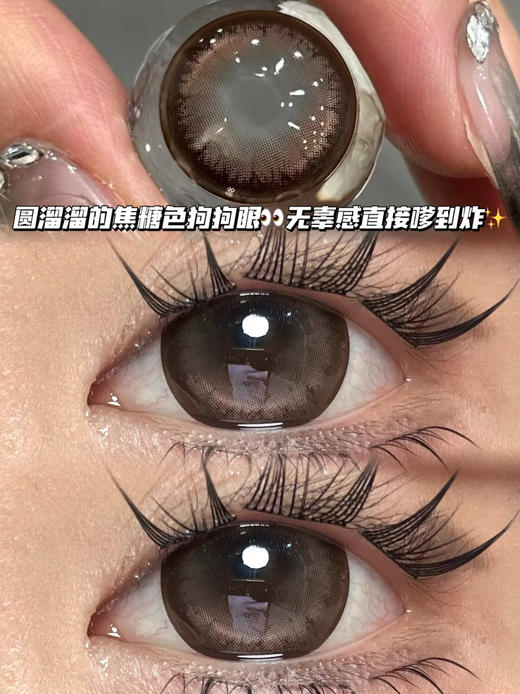 Pudding杏仁榛果布丁·半年抛型 商品图0