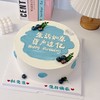 多款式~ins小清新蓝莓简约蛋糕-低糖处理无添加 商品缩略图3