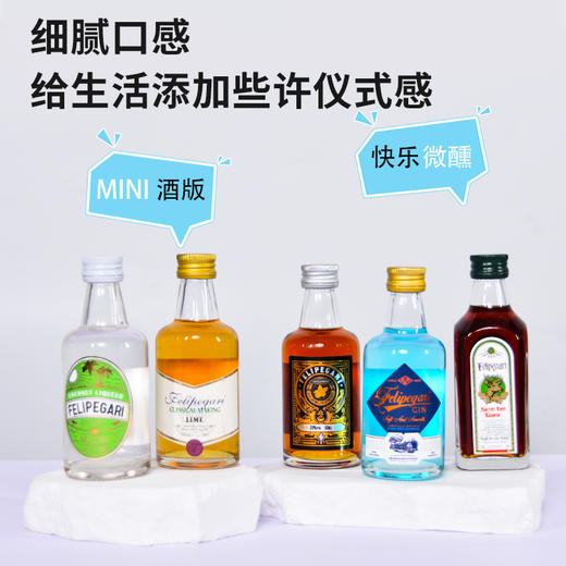 菲利佰加·白兰地威士忌伏特加网红洋酒小酒版12支组合套装 商品图2