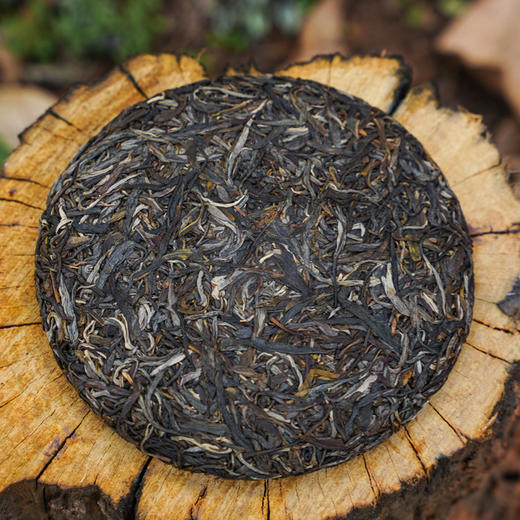 【上高货】【源自张福茂老爷子初代遗迹手稿】【汇聚普洱贡茶精髓】行业标杆级藏品；红印2025年普洱茶区贡茶核心资源大几百年大古树单株选料；357g/饼【绝密配方】【复兴贡茶之辉煌】 商品图1