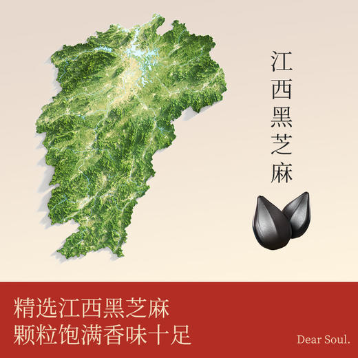 大树伯伯纯黑芝麻粉江西鄱阳黑芝麻专利粉碎营养罐装180克 商品图1