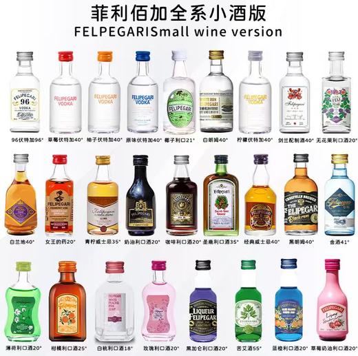 菲利佰加·白兰地威士忌伏特加网红洋酒小酒版29支组合套装 商品图0