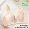 雅黛俪女士文胸小胸聚拢显大性感蕾丝内衣 商品缩略图1
