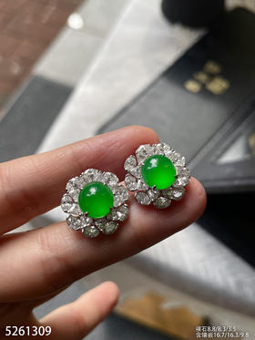 5261309，蛋面耳钉。具体价格微信咨询