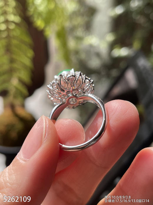 5262109，蛋面戒指。具体价格微信咨询 商品图4
