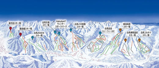 Burton Family Tree冠名｜（2月17日-2月23日） BAM初级野雪训练营九期 商品图2