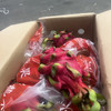 越南 红心火龙果  一级果 9.9/斤 口感纯甜 商品缩略图2