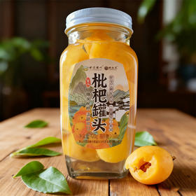 【徽秀专场】限自提 田园徽州新鲜枇杷罐头420g