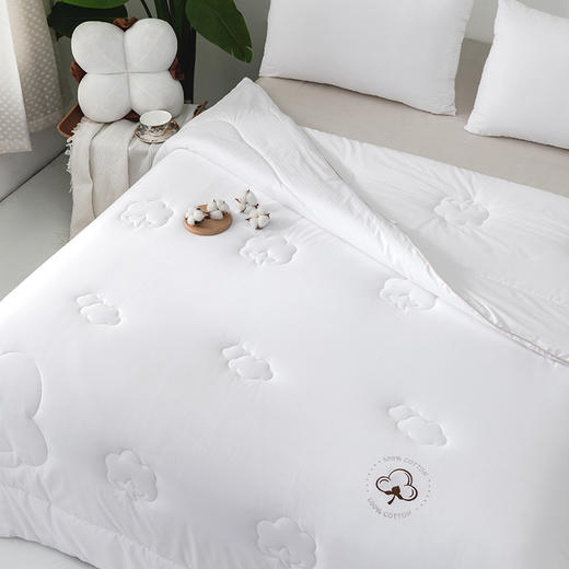 多喜爱 朗旭舒爽棉花被/冬被【里外全棉】【脱脂工艺】【8道除杂】【精美提花】【加厚磨绒】【A类标准】100%全棉新疆棉花被 商品图2