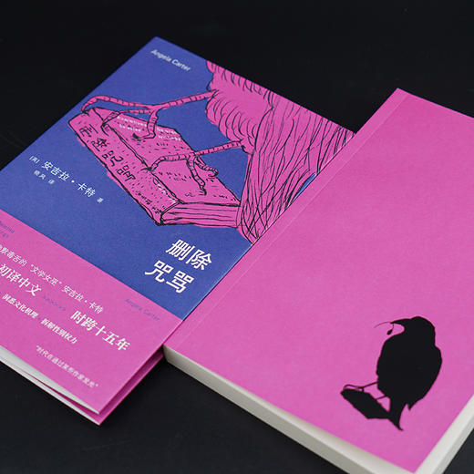删除咒骂 （守望者·镜与灯） [英] 安吉拉·卡特 著 晓风 译 商品图3