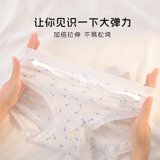 【5条装】10A抑菌甜美蕾丝少女内裤女纯棉透气高弹不勒不夹臀N5612蒲公英印花内裤 商品图7