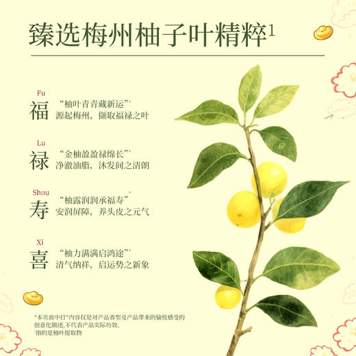 澳雪碌柚叶控油去屑洗发水1kg*2瓶装 商品图3