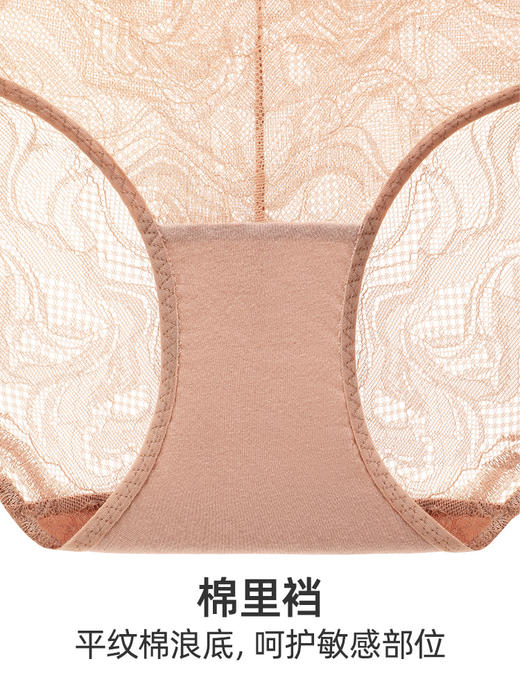 【小曼曼】遐性感全蕾丝内裤女秋冬透气速干纯棉裆无痕中腰平角裤 商品图4