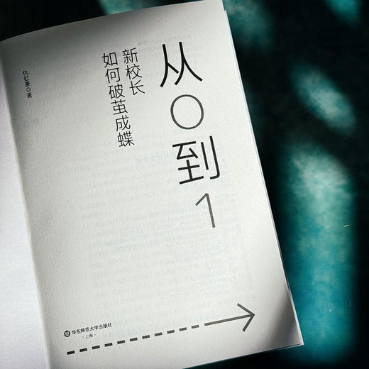从0到1 新校长如何破茧成蝶 仇虹豪 新手校长100个问题答案之书 学校规划 教师干部管理 商品图5