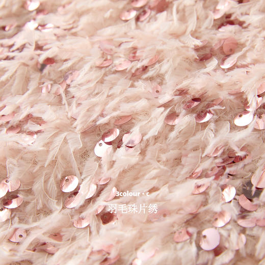 三彩【翙翙其羽】2025冬季新款羽毛珠片绣半身裙A字裙短裙C 商品图3