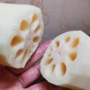 【9号晚24点截单】【洪湖莲藕（粉藕 脆藕可选）】煲汤粉糯、脆藕清炒脆爽 带青泥发货 藕香浓郁 湖北特产 历代贡品 商品缩略图0