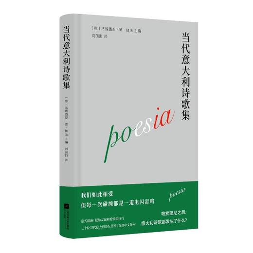 当代意大利诗歌集  意大利诗人、汉学家德陆法编选，选取代意大利30位诗人的代表性短诗作品，收录如雷佐·帕里斯、阿尔达·梅里尼等诗歌作品 商品图3
