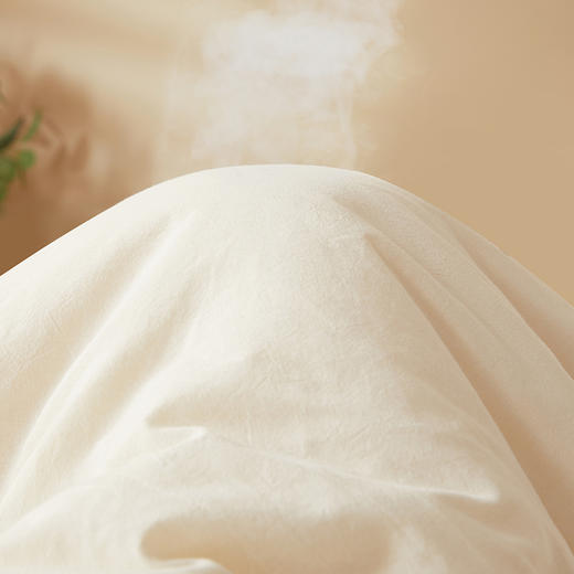 【品牌直发】加倍生活 国棉系列新疆棉花被 真棉花、带检测口 春秋被/冬被/加厚冬被 1.5m/2.0m/2.2m被芯 商品图5