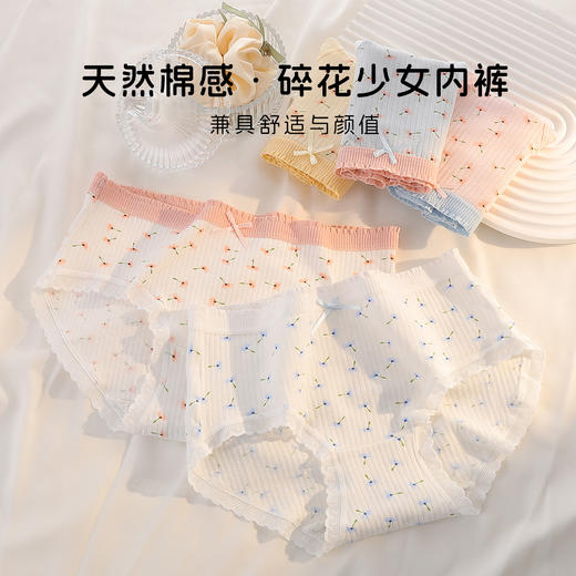 【5条装】10A抑菌甜美蕾丝少女内裤女纯棉透气高弹不勒不夹臀N5612蒲公英印花内裤 商品图2