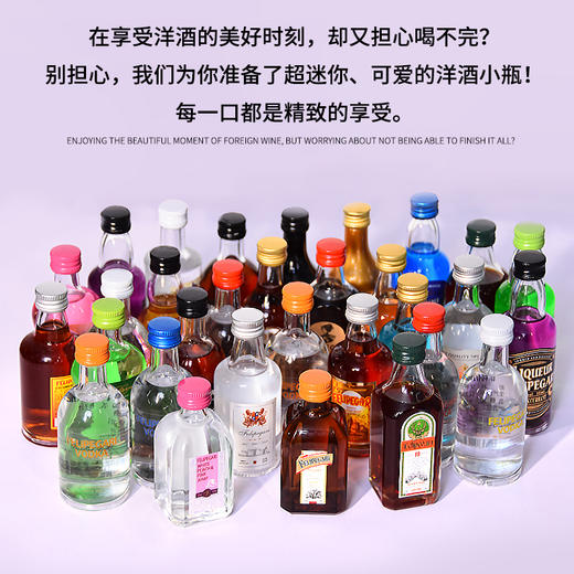 菲利佰加·白兰地威士忌伏特加网红洋酒小酒版10支组合套装 商品图4