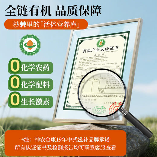 神农金康 有机沙棘原浆500ml 沙棘汁 鲜榨果汁阿勒泰原产原浆高VC原液饮料 商品图3