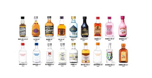 菲利佰加·白兰地威士忌伏特加网红洋酒小酒版18支组合套装 商品图0