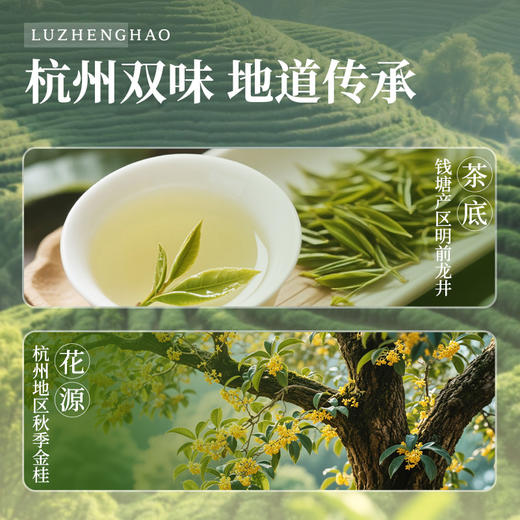 卢正浩杭州桂花龙井茶150g传统窨制纸包 商品图1