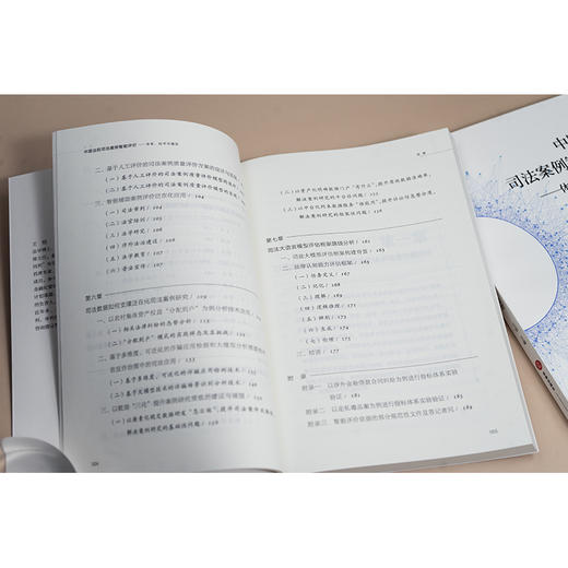 中国法院司法案例智能评价——体系、技术与模型 王锐 法律出版社 商品图6