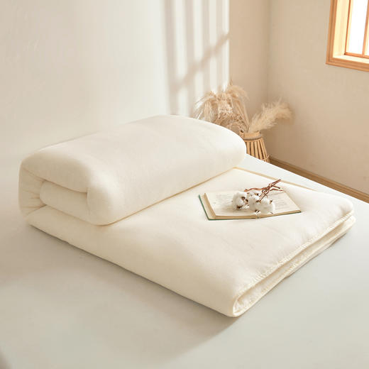 【品牌直发】加倍生活 新疆棉花混纺被 棉花棉胎/床褥垫 可铺可盖垫褥 鱼鳞网被芯 商品图3