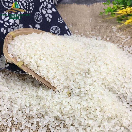 有机黑土香米（圆粒）2.5公斤 商品图0