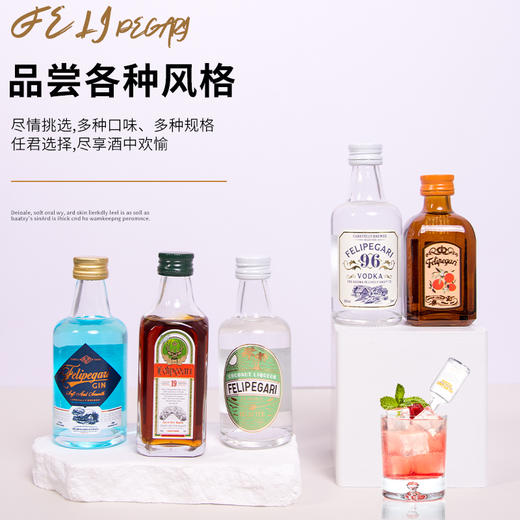 菲利佰加·白兰地威士忌伏特加网红洋酒小酒版10支组合套装 商品图1