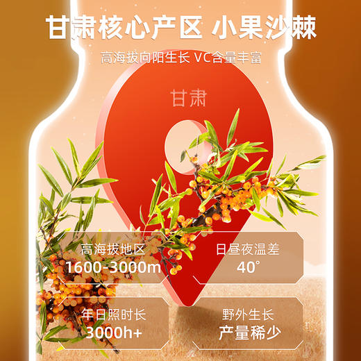 默小吉500ml盒装沙棘原浆甘肃沙棘果汁vc 商品图3
