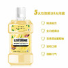 李施德林柚恋百香漱口水250ML*2瓶 商品缩略图6