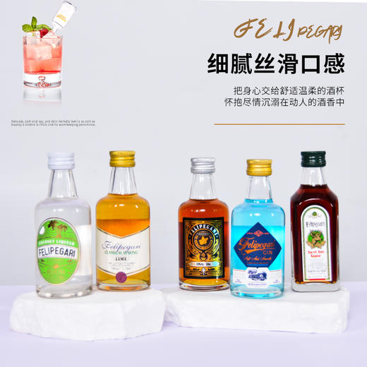菲利佰加·白兰地威士忌伏特加网红洋酒小酒版10支组合套装 商品图2