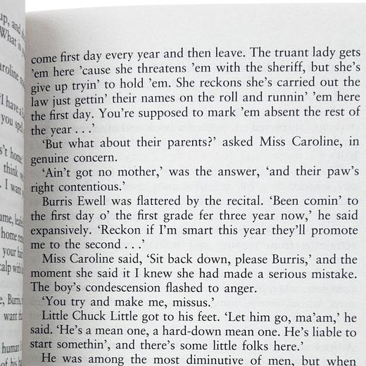 杀死一只知更鸟英文版 To Kill a Mockingbird 英文原版小说 世界经典名著 进口英语学习原著书籍可搭flipped相约星期二追风筝的人 商品图3