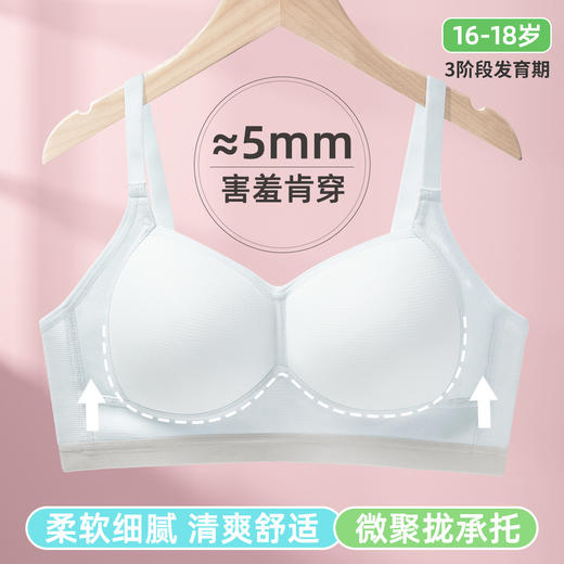 雅黛俪少女文胸高中生三阶段青春发育期女童内衣 商品图1
