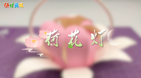 2025年10月 荷花灯